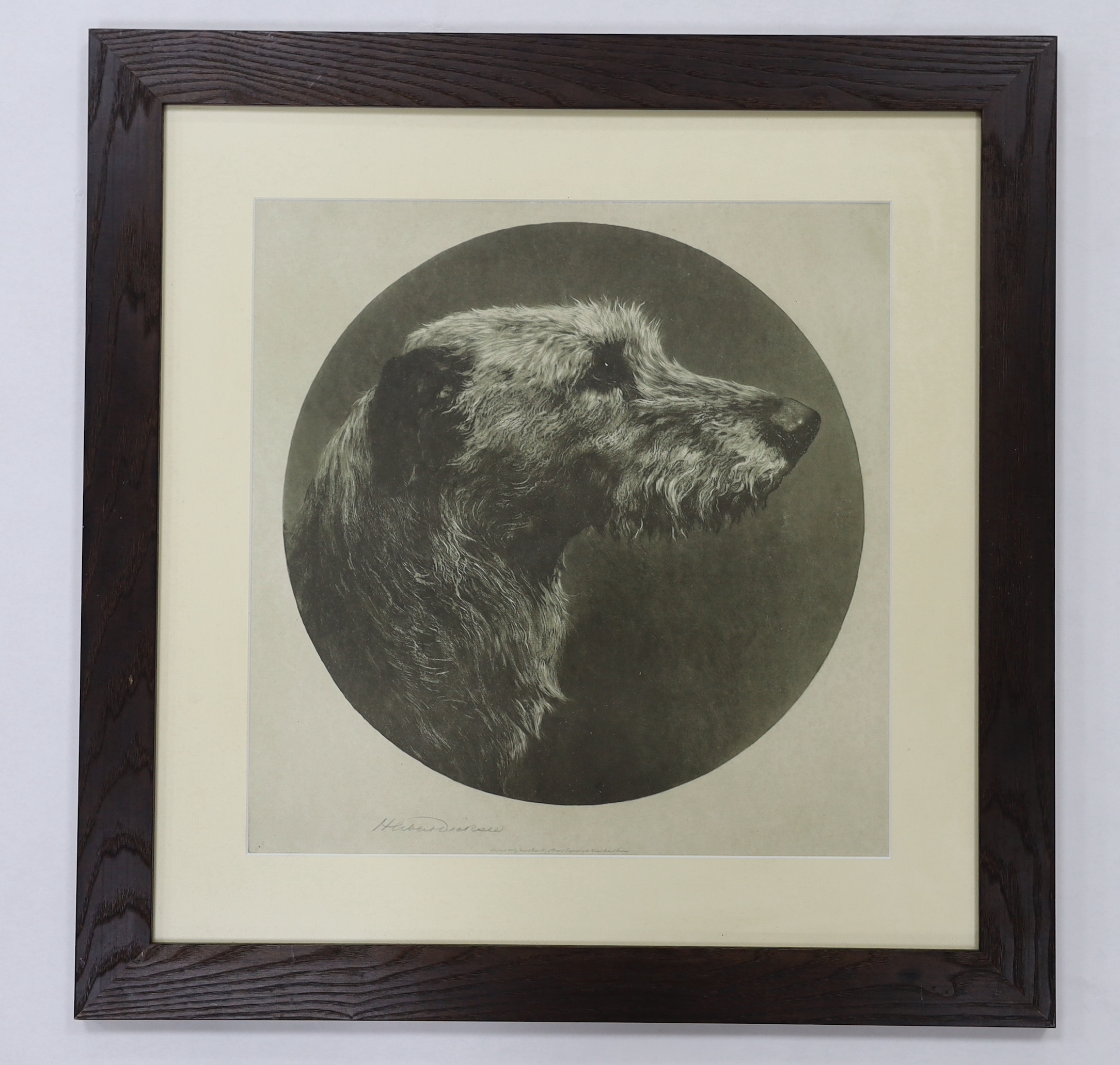 Herbert Dicksee (1862-1942), etching, The Old Hound, signed in pencil, publ. 1912, 38 x 38cm